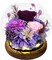 Gifts for Women Preserved Flowers in Glass Dome Long-Lasting Eternal Roses Mothers Day Birthday Gifts for Mom Grandma Wife Girlfriend Purple Forever Flowers for Delivery Prime